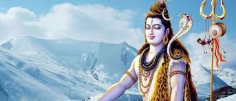 shiv